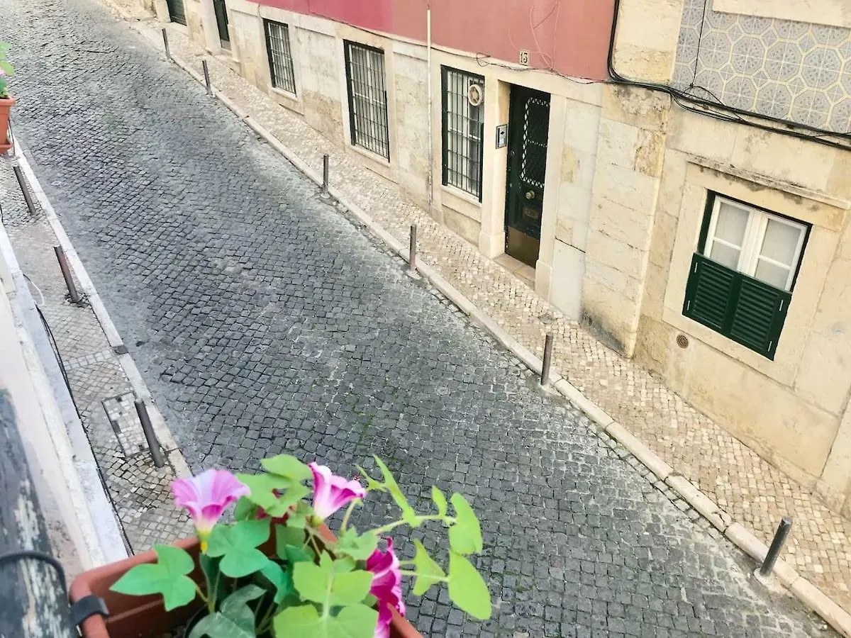 Charming Flat Apartment Lisbon